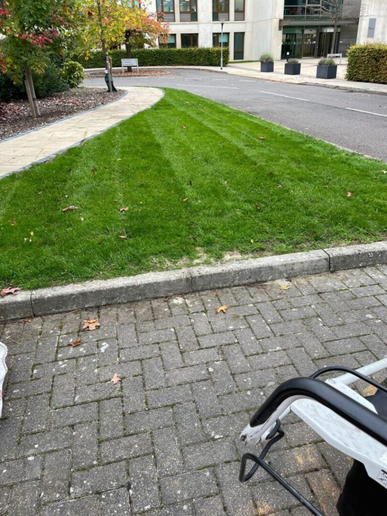 small area grass mowing by road