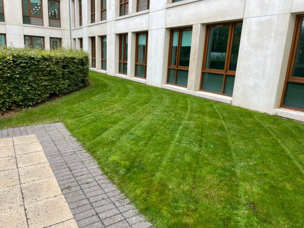 outside large building grass mowing