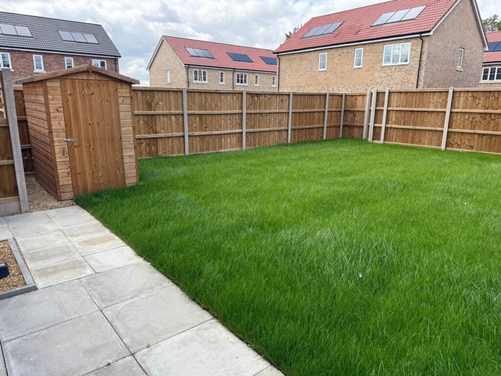 back garden seeding and turf service