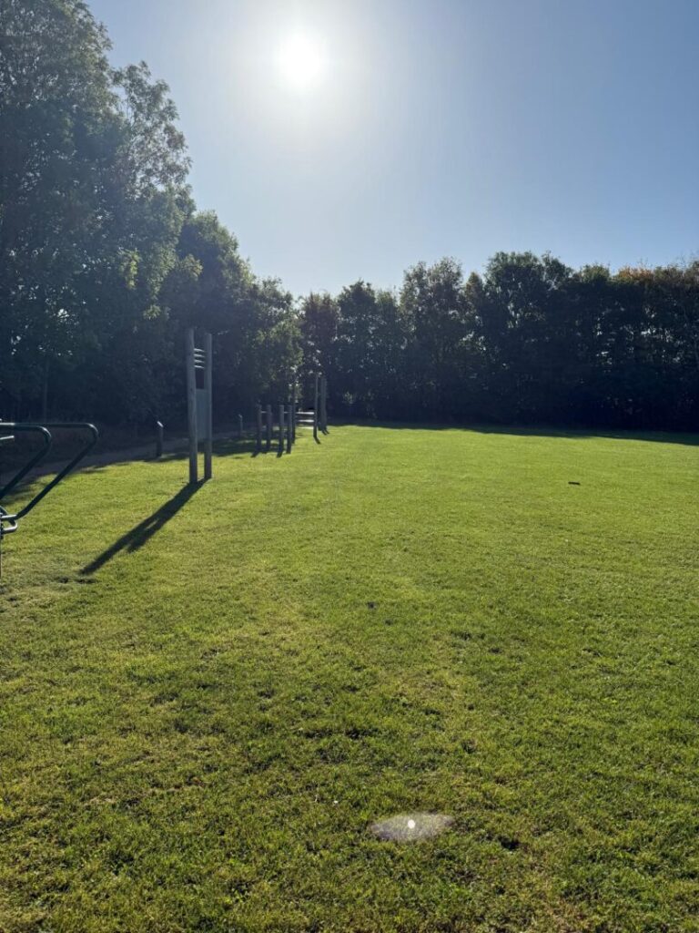 grass clean cutting on large field with park