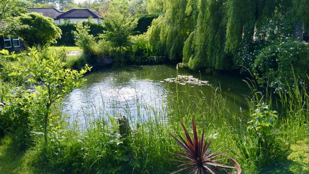 cleaned and maintenanced pond in east anglia