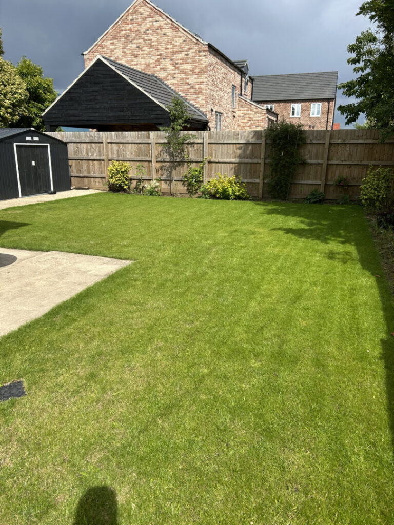 domestic lawn care job completed in east anglia