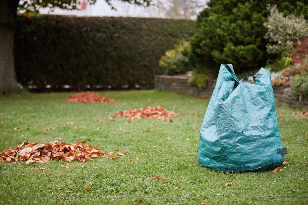 Domestic Garden Maintenance & Weeding Norfolk & East Anglia