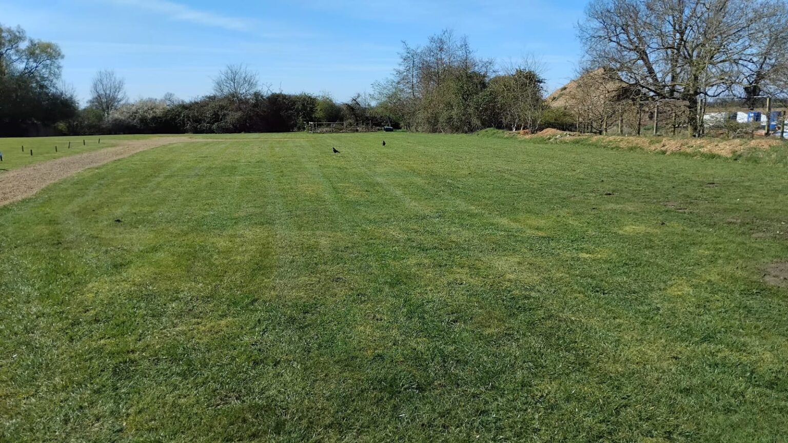 churchyard grass cutting and grounds maintenance