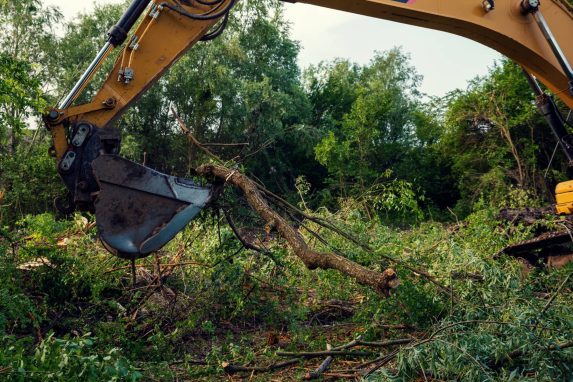 Site Clearance 1